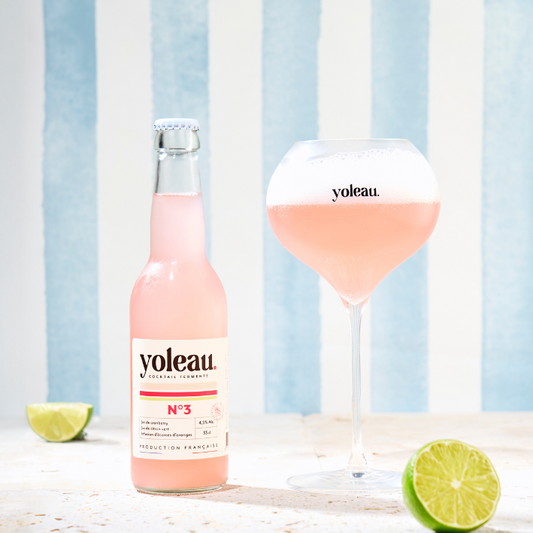 Cranberry & Ecorces d'oranges - Cocktail pétillant à 4,5% d'alcool