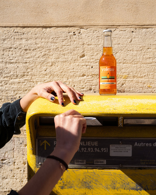 Sans alcool en France : ce que la rentrée 2026 dit vraiment du marché