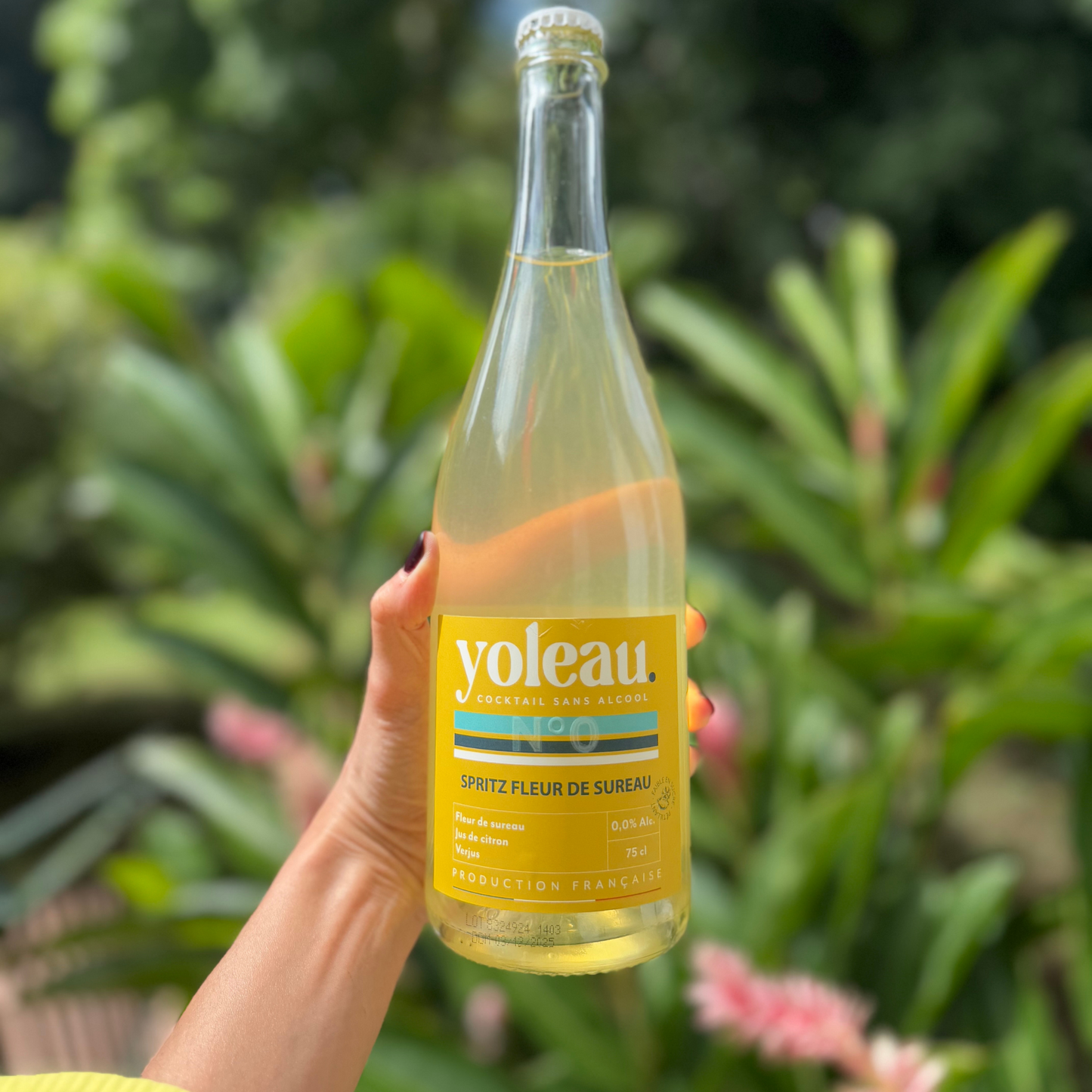 Pack Découverte Spritz Sans Alcool - 2 Recettes yoleau